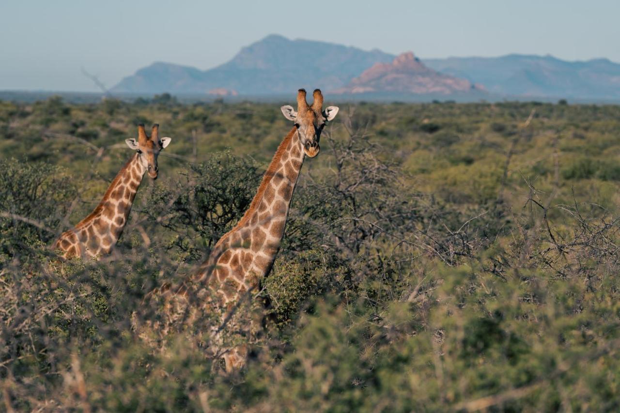 Omaruru Game Lodge Экстерьер фото