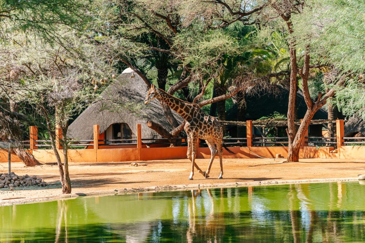 Omaruru Game Lodge Экстерьер фото