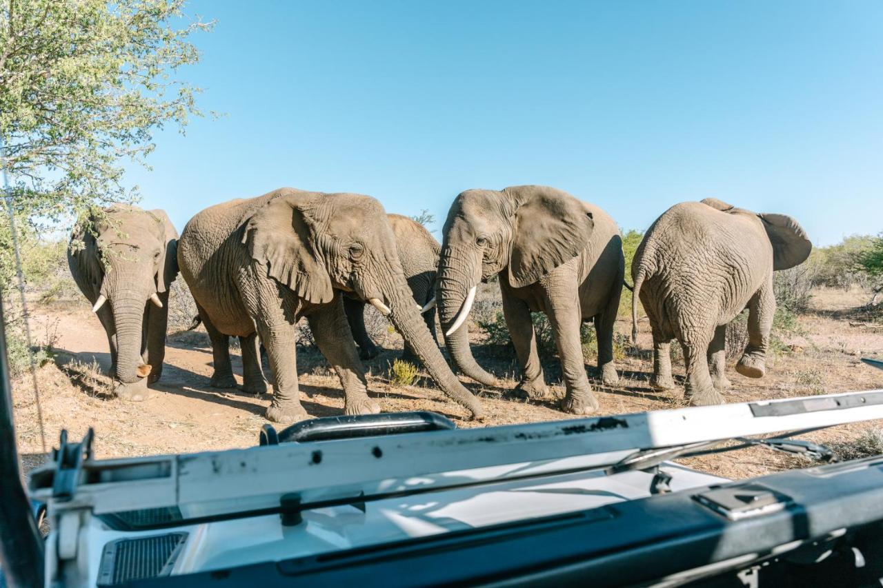 Omaruru Game Lodge Экстерьер фото