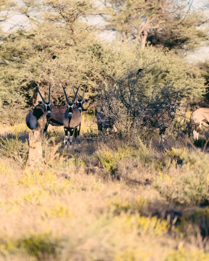 Omaruru Game Lodge Экстерьер фото