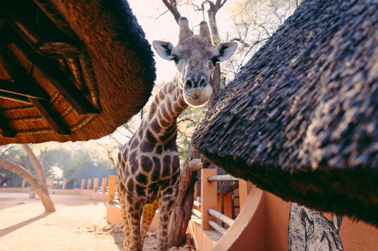 Omaruru Game Lodge Экстерьер фото