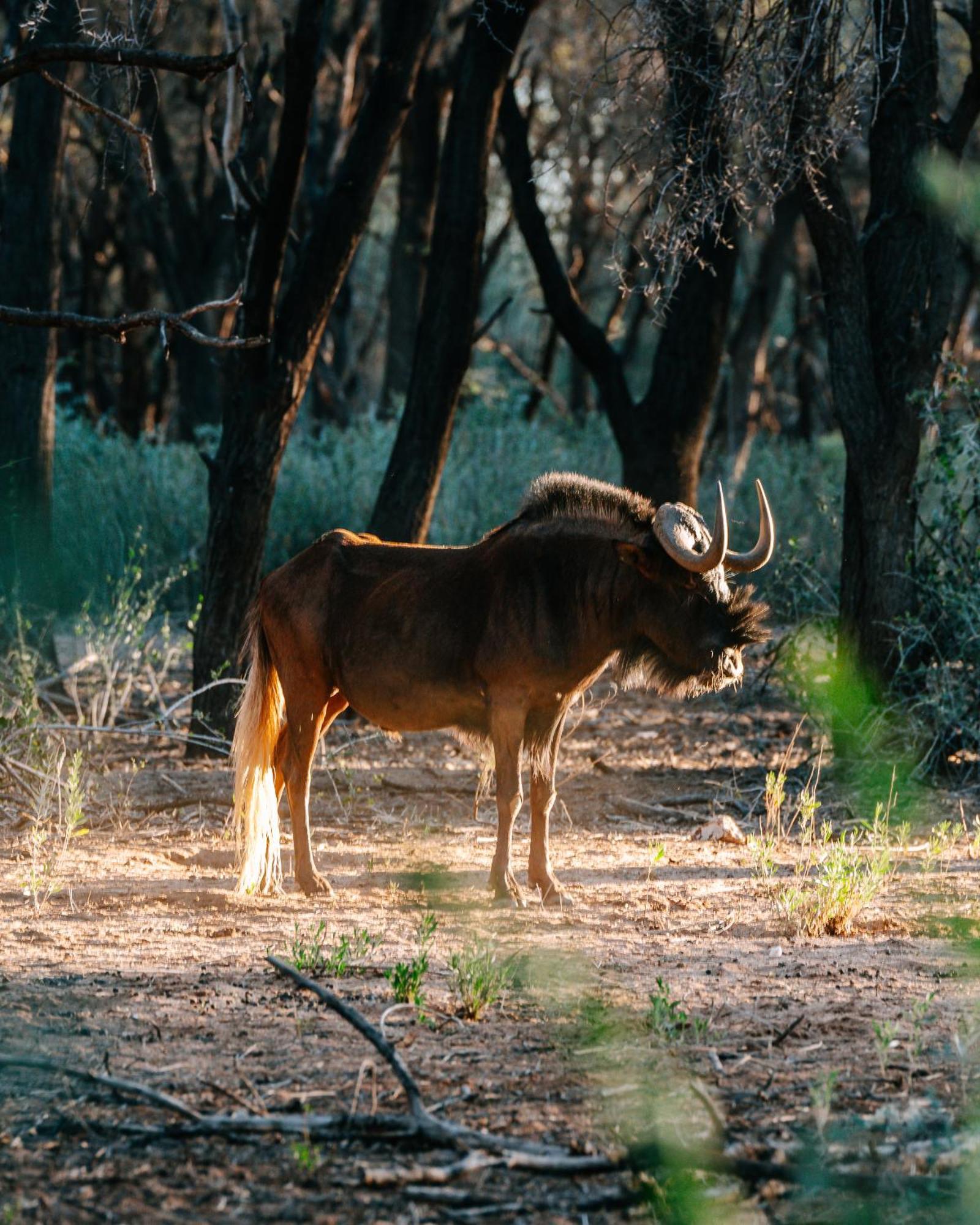 Omaruru Game Lodge Экстерьер фото
