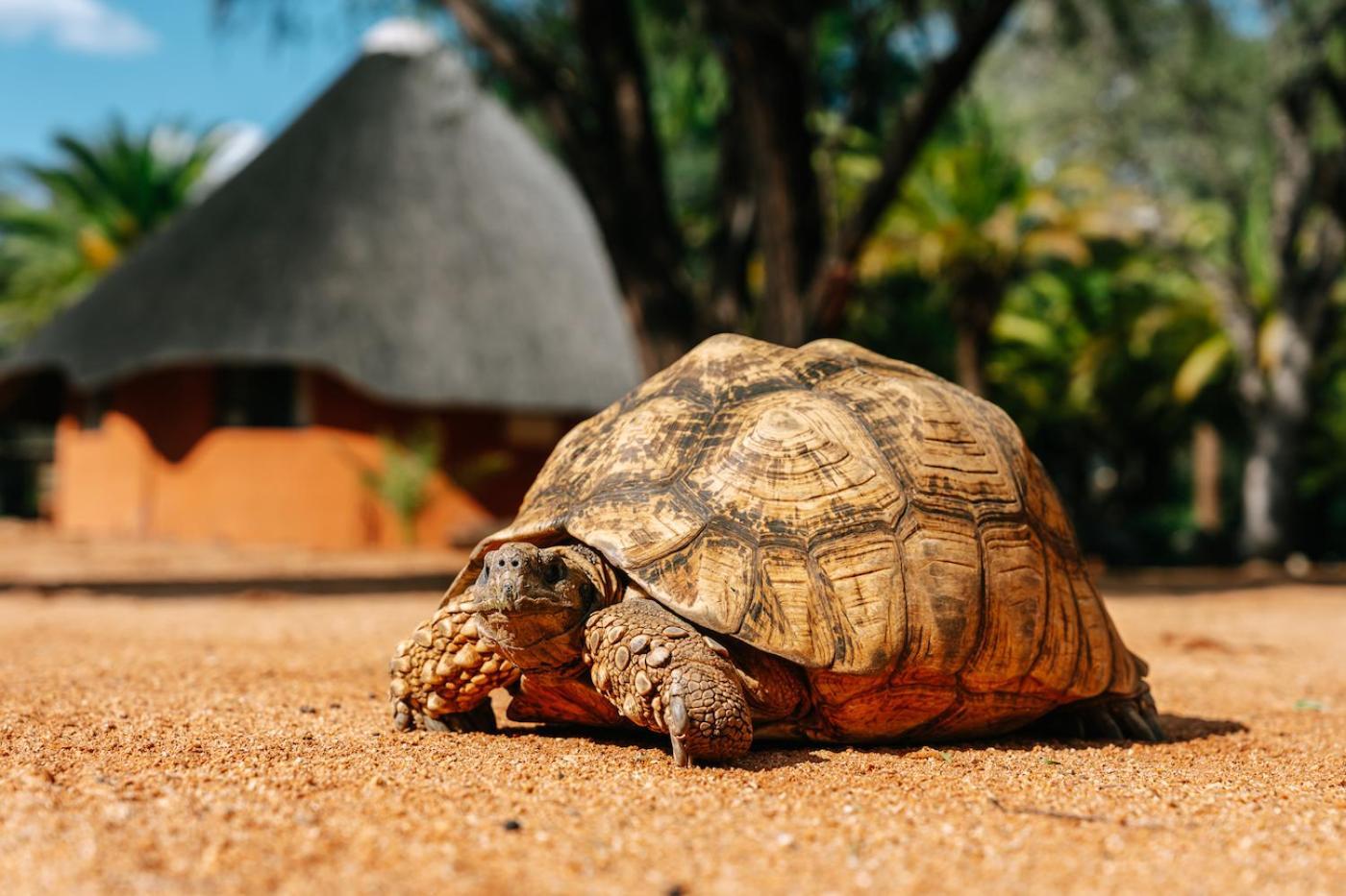 Omaruru Game Lodge Экстерьер фото